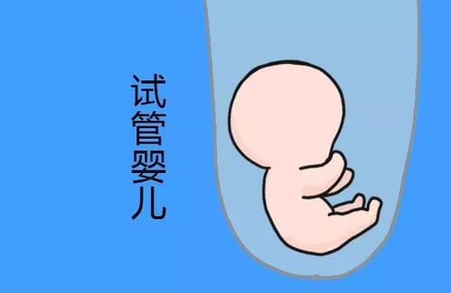 医疗团队